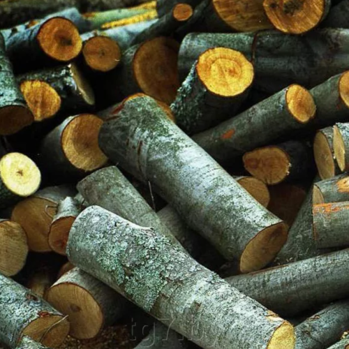 Дрова осиновые